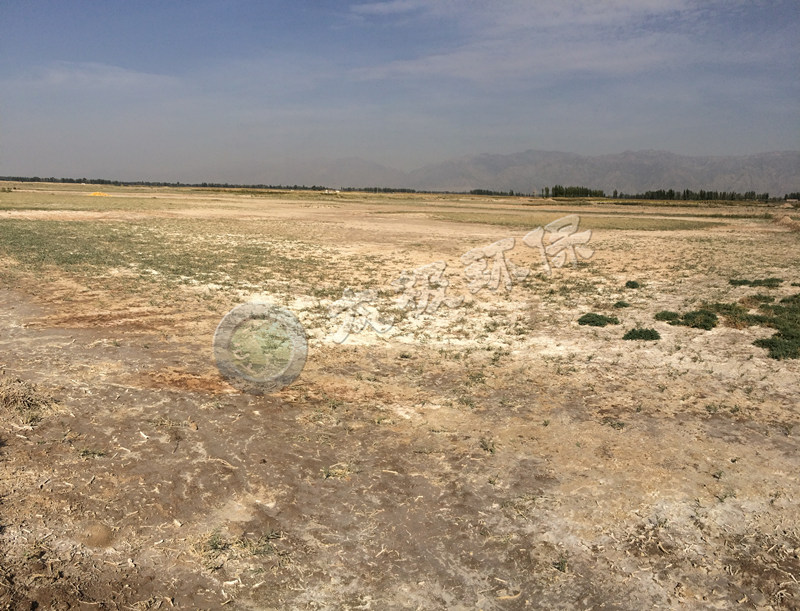 1569477923997950.jpg 1569477923997950.jpg